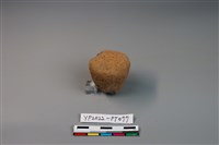 藏品(陶鈕)的圖片