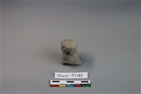 藏品(陶鈕)的圖片