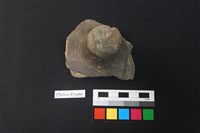 藏品(覆碗型陶蓋)的圖片