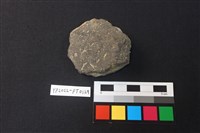 藏品(小圓板)的圖片