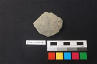 藏品(小圓板)的圖片