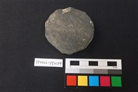 藏品(小圓板)的圖片