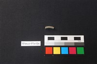 藏品(陶環)的圖片