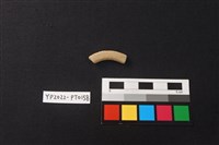 藏品(陶環)的圖片