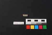 藏品(陶環)的圖片