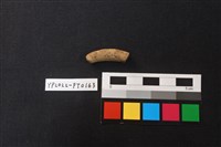 藏品(陶環)的圖片