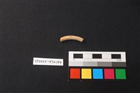 藏品(陶環)的圖片