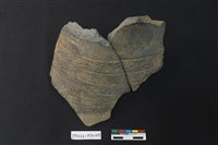 藏品(陶片)的圖片