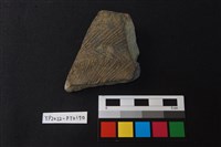 藏品(陶片)的圖片