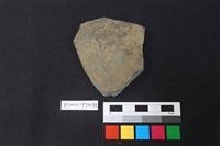 藏品(陶片)的圖片