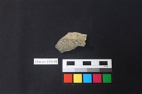 藏品(陶片)的圖片