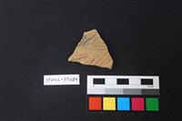 藏品(陶片)的圖片