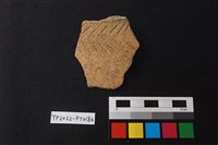 藏品(陶片)的圖片