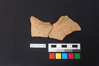 藏品(陶片)的圖片