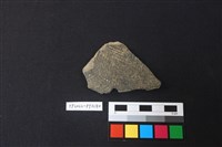 藏品(陶片)的圖片