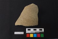 藏品(陶片)的圖片