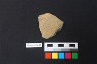 藏品(陶片)的圖片