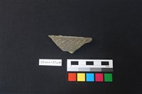 藏品(陶片)的圖片