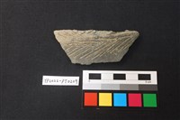 藏品(陶片)的圖片