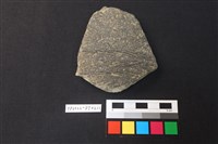 藏品(陶片)的圖片