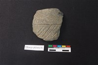 藏品(陶片)的圖片