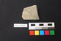 藏品(陶片)的圖片