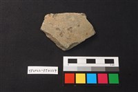 藏品(陶片)的圖片