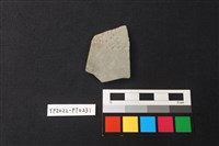 藏品(陶片)的圖片