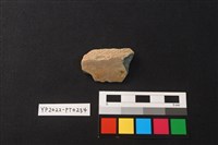 藏品(陶片)的圖片