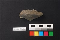 藏品(陶片)的圖片