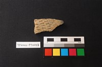 藏品(陶片)的圖片