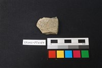 藏品(陶片)的圖片