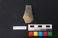 藏品(陶片)的圖片