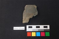 藏品(陶片)的圖片