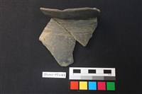 藏品(陶片)的圖片