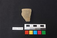 藏品(陶片)的圖片