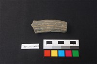 藏品(陶片)的圖片