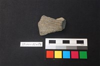 藏品(陶片)的圖片