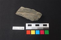 藏品(陶片)的圖片