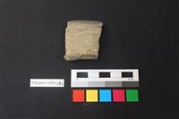 藏品(陶片)的圖片