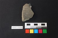 藏品(陶片)的圖片