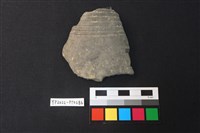 藏品(陶片)的圖片