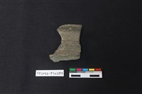 藏品(陶片)的圖片