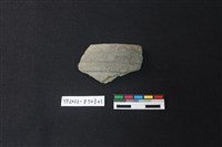 藏品(陶片)的圖片