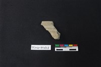 藏品(陶片)的圖片