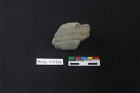 藏品(陶片)的圖片