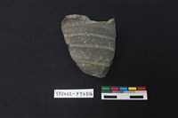 藏品(陶片)的圖片