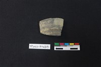 藏品(陶片)的圖片