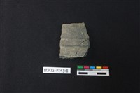 藏品(陶片)的圖片