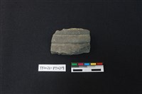 藏品(陶片)的圖片